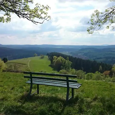Nyaraló Ruhiges Am Waldrand Mit Sauna Und Kamin - Hellaberg Ii Langenbach