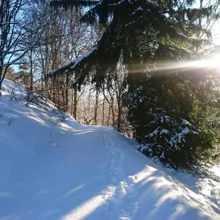 Hébergement de vacances Ruhiges Am Waldrand Mit Sauna Und Kamin - Hellaberg Ii Langenbach (Thuringia)