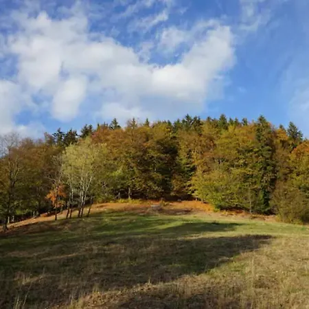 Ruhiges Am Waldrand Mit Sauna Und Kamin - Hellaberg Ii Hébergement de vacances *