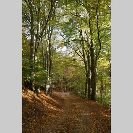 Ruhiges Am Waldrand Mit Sauna Und Kamin - Hellaberg Ii Nyaraló Langenbach