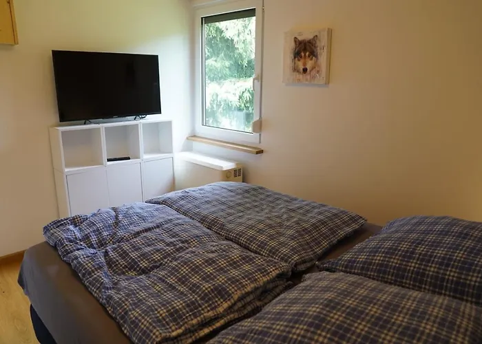 Ruhiges Am Waldrand Mit Sauna Und Kamin - Hellaberg Ii Tatil Evi Langenbach (Thuringia)