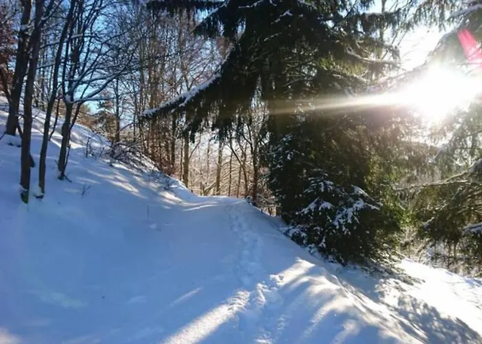 Сasa de vacaciones Ruhiges Am Waldrand Mit Sauna Und Kamin - Hellaberg Ii Langenbach (Thuringia)