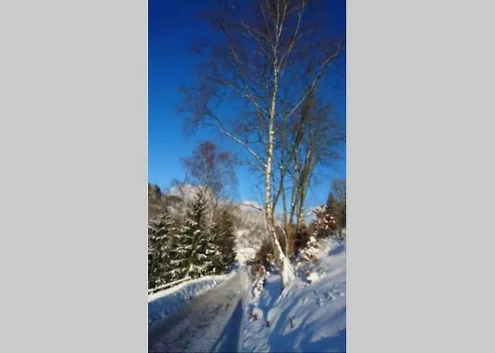 Ruhiges Am Waldrand Mit Sauna Und Kamin - Hellaberg Ii Дом отдыха