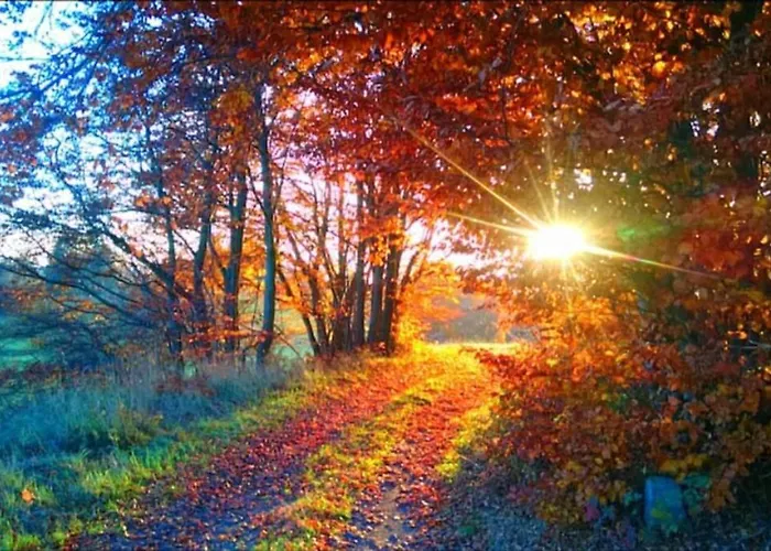 Сasa de vacaciones Ruhiges Am Waldrand Mit Sauna Und Kamin - Hellaberg Ii *