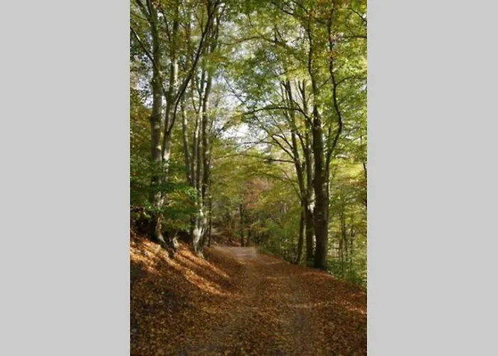 Ruhiges Am Waldrand Mit Sauna Und Kamin - Hellaberg Ii Tatil Evi Langenbach (Thuringia)